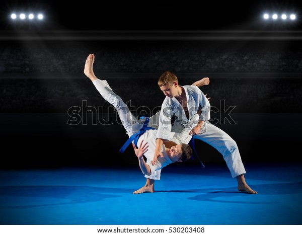 Boys martial arts\
fighters in sports hall