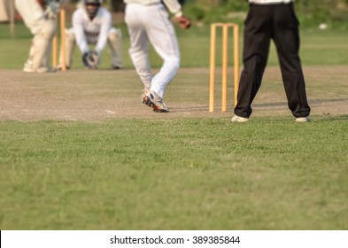 Boys are playing cricket at Maidan in Calcutta, India - Powered by Shutterstock