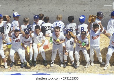 Boys Sitting On Bench And On Sidelines, Little League Baseball Game, Ojai, CA