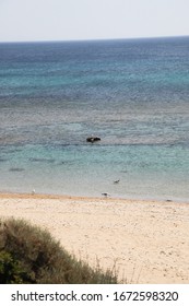 Bozcaada Beach Landscape Sea Side