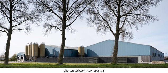 BRABANT, NETHERLANDS - APRIL 15 2021: Huge Farm (a Concentrated Animal Feeding Operation) For Fattening Pigs In The Netherlands With A Lot Of Feed Silos In Front Of The Building. Wide Screen Image