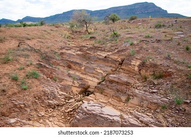 Brachina Formation Shale - Flinders Ranges - Australia