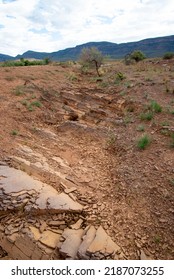 Brachina Formation Shale - Flinders Ranges - Australia