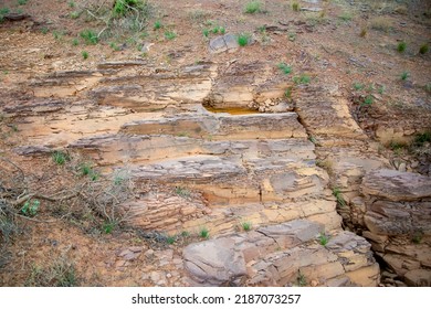 Brachina Formation Shale - Flinders Ranges - Australia