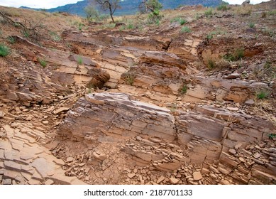 Brachina Formation Shale - Flinders Ranges - Australia