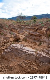 Brachina Formation Shale - Flinders Ranges - Australia