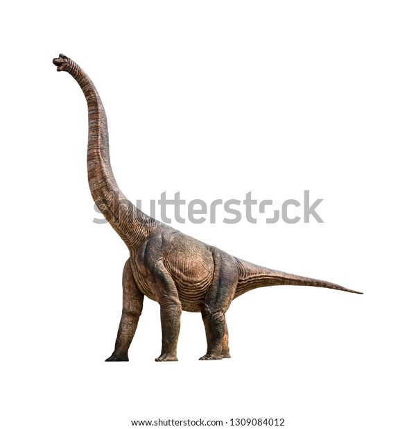 sauropod