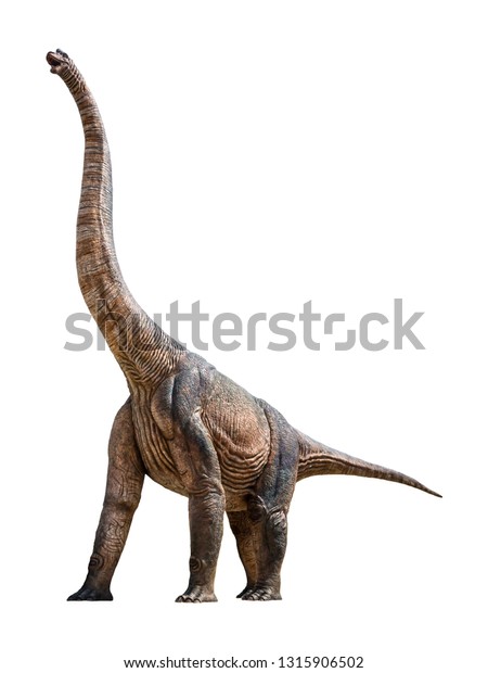 Brachiosaurus Herbivore Genus Sauropod Dinosaur That Stock Photo (Edit ...