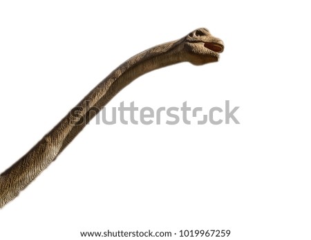 Brachiosaurus isolated on the white background