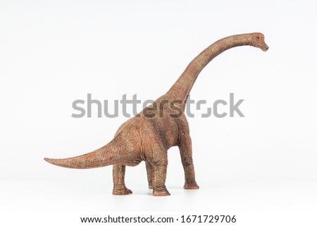 Brachiosaurus on white background isolated