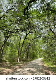 Brackenridge Park In San Antonio Texas, Nature Trail