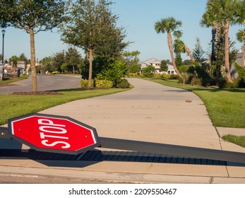 BRADENTON, FL, USA - OCT. 2, 2022: Traffic Signs Knocked Down By Hurricane Ian, Such As This Stop Sign At The End Of A Suburban Sidewalk, Are A Common Sight In The Aftermath Of The Category 4 Storm. 