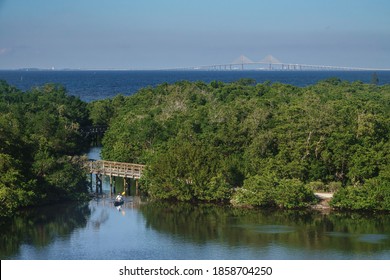 BRADENTON, FL/USA - NOV. 16, 2020: Having Paddled Through Mangrove Forest, A Lone Kayaker Heads For Open Water In A Nature Preserve Some Distance From Sunshine Skyway Bridge Across Lower Tampa Bay.