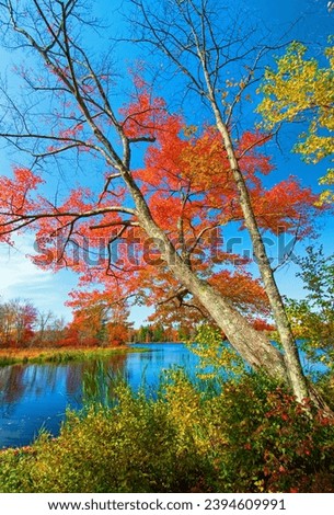 Brady's Lake Autumn, Pocono Mountains, Pennsylvania