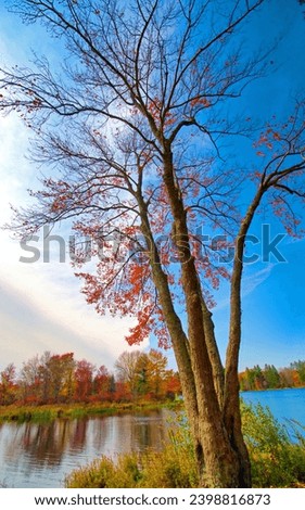 Brady's Lake Autumn, Pocono Mountains, Pennsylvania