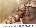 Braid hairstyle with sprigs of ripe wheat. Blond long hair close. Healthy hair. Warm light background.