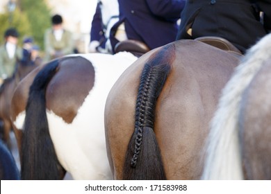 Braided pony tail, close up