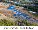 Braided Sibbald River Flats Green Marshland Aerial Landscape View.  Scenic Springtime Kananaskis Country Hiking, Alberta Foothills Canadian Rocky Mountains