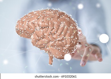 brain