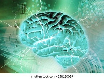 brain activity