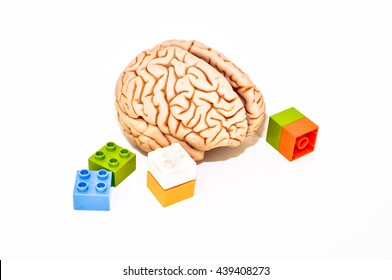 brain with colored brick like Lego, isolated on white background