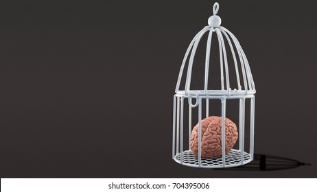 Brain in the enclosure closed
