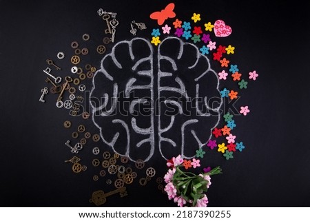 Brain lines drawn by chalk on blackboard background. Top view, flat lay. Gears, lock, keys, flowers, heart, butterfly around picture. Difference between analytical and creative thinking, hemispheres