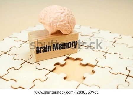 Brain memory concept with human brain model, wooden block and missing puzzle piece, representing memory function, cognitive health, neuroscience and mental recall.