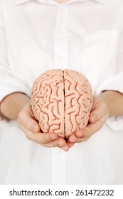 Brain Model in hands - Shutterstock ID 261472232