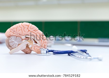 Brain model and medicine drug in laboratory.