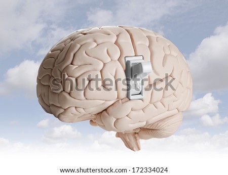 Brain power 