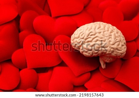 Brain representing analytical thinking on top of hearts conceptual image for intelligent mind over passionate emotions, objective cognition controlling intense feelings and emotional intelligence