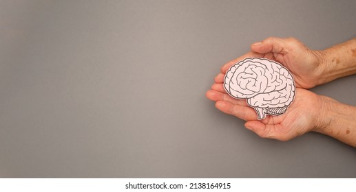 A brain shape made from paper on a palm senior woman on a gray background. Awareness of Alzheimer's, Parkinson's disease, dementia, stroke, seizure, or mental health. Neurology and Psychology care - Shutterstock ID 2138164915