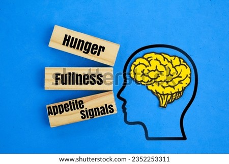 brain and stick shapes with the words Hunger, Fullness, and Appetite Signals. brain fullness