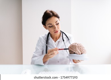 Brain Surgeon Or Neurologist Doctor Explaining To Patient