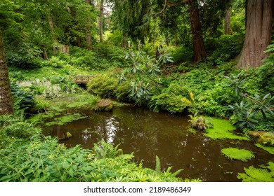 Brainbridge Island, Washington - July4 2020: Bloedel Reserve Japanese Garden Bridge Pond Green Water Trees Reflection, Zen Background With Outdoor Beautiful Scenic Nature Near Seattle. 