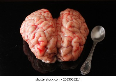 Brains With A Spoon, Animal Internal Organ