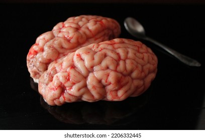 Brains With A Spoon, Animal Internal Organ