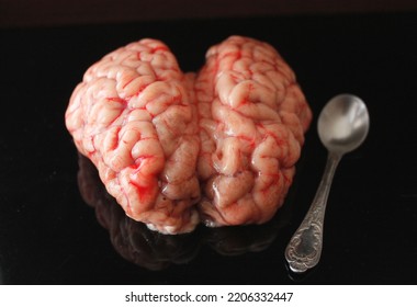 Brains With A Spoon, Animal Internal Organ