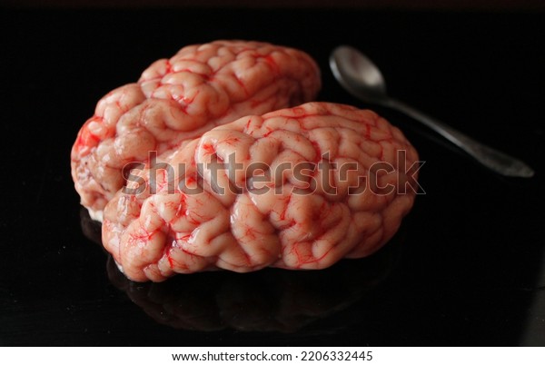 brains with a spoon,\
Animal Internal Organ