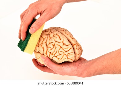 brainwashed with sponge