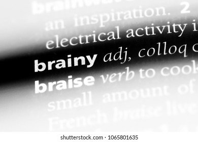 Brainy Word Dictionary Brainy Concept Stock Photo 1065801635 | Shutterstock