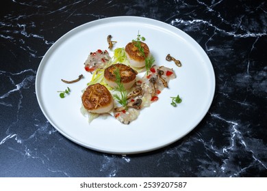 Braised Fennel and seared sea scallops con a plate with fennel puree and fennel Frans - Powered by Shutterstock