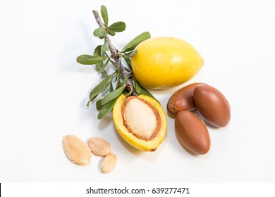 Branch Argan Tree, With Its Fruit And Detail Of The Interior