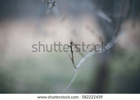 Similar – Herbstwald Natur