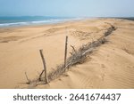 Branch barriers stand against wind-driven dunes on Essaouira beach. Morocco Atlantic coast battles sand drift under a hazy sky