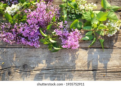 紫丁香花images Stock Photos Vectors Shutterstock