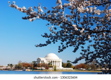 A branch of a cherry tree frames the Jefferson Memorial in Washington, DC