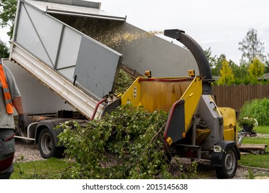 a branch chipper at the arborist's dump truck performing chip branchingfreshly sawed wood chips with a wood chipper blowing wood chips in a dump truck - Shutterstock ID 2015145638