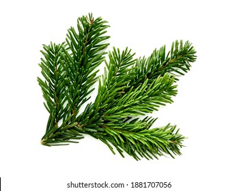 Branch Of A Christmas Tree Isolated On A White Background.  Top View, Flat Lay, Close-up.  Christmas Or New Year Background.